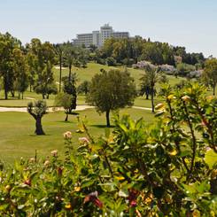 GOLF Hotel TRH Paraíso - Estepona